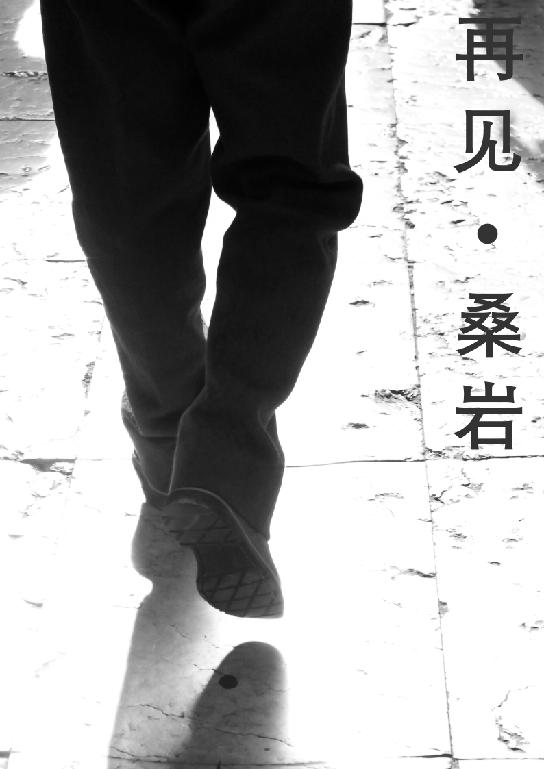再见 桑岩