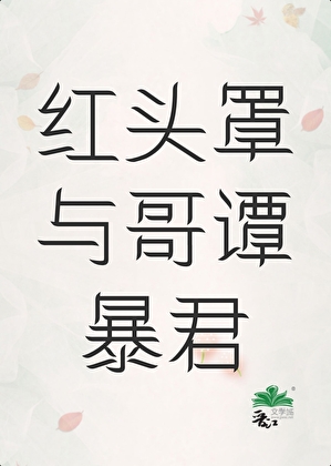 [综英美]红头罩与哥谭暴君