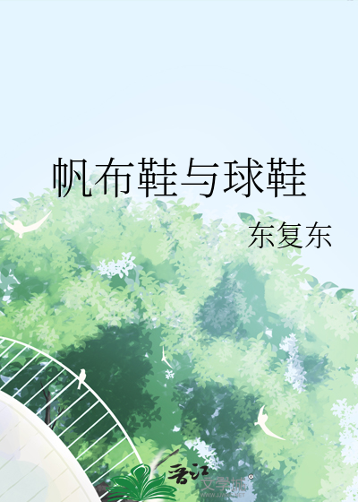 帆布鞋与球鞋