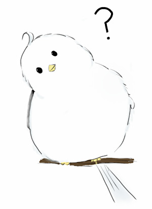 绑定黑泥精的我成了横滨最忙系统