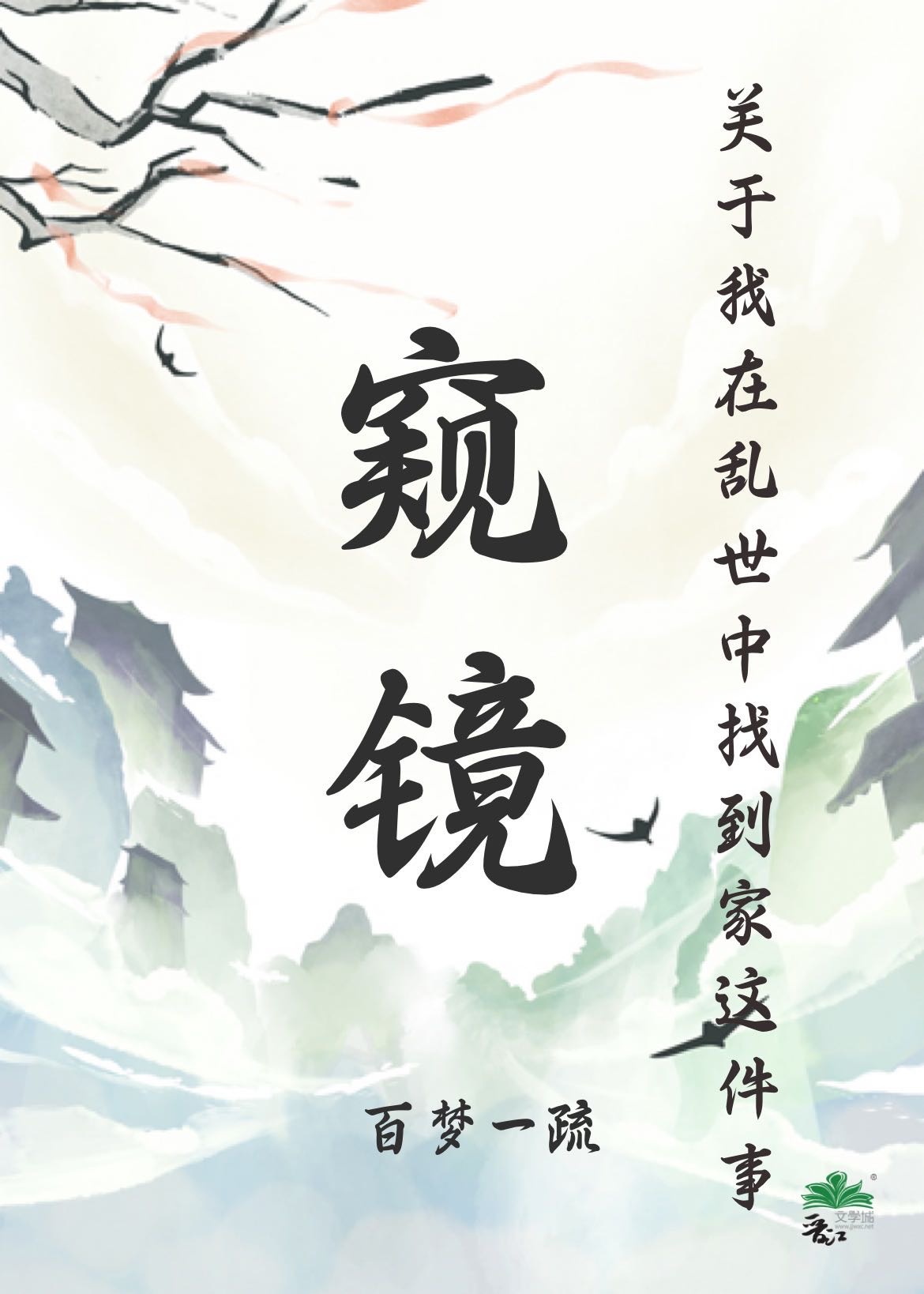 窥镜