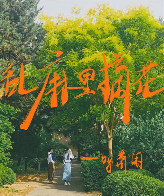 乱麻里摘花