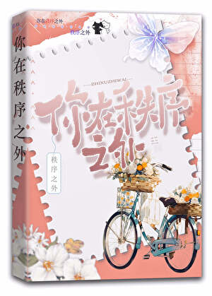 你在秩序之外[破镜重圆]