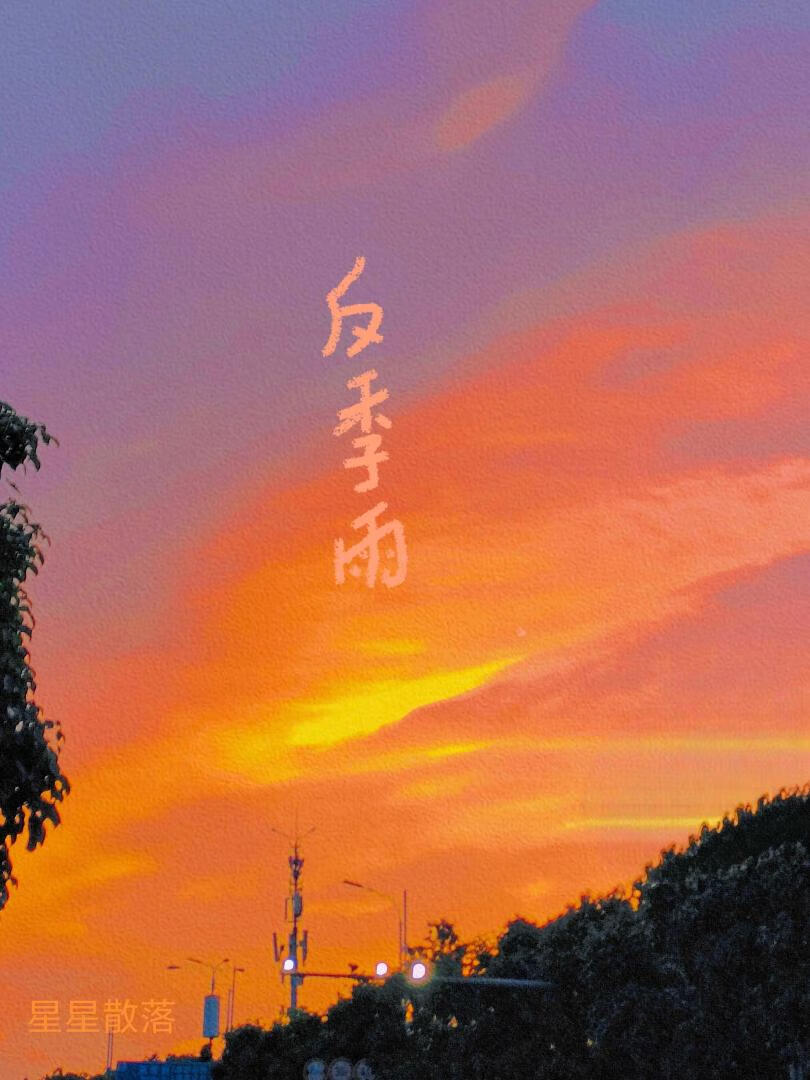 反季雨
