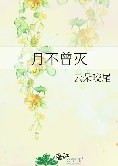 月不曾灭