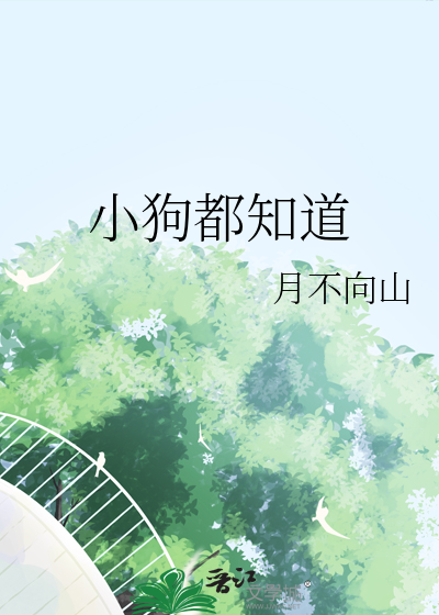 小狗都知道