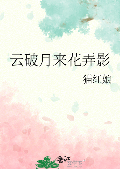 云破月来花弄影
