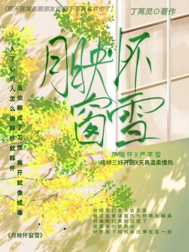 月映怀窗雪
