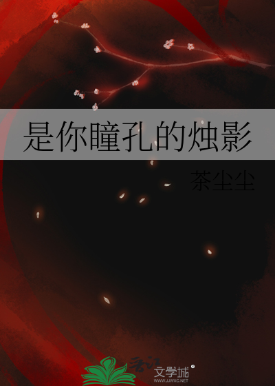 是你瞳孔的烛影