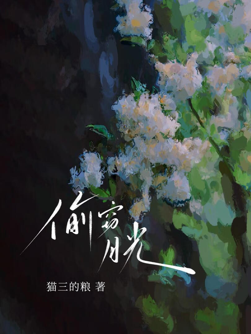 偷窃月光