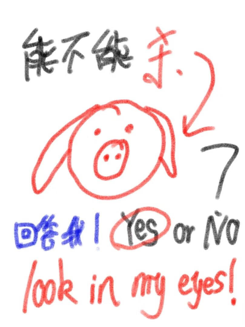 穿成娇妻后还能杀猪吗