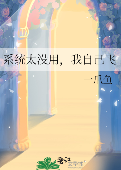 系统太没用，我自己飞